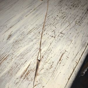 Long rose gold Kendra Scott necklace